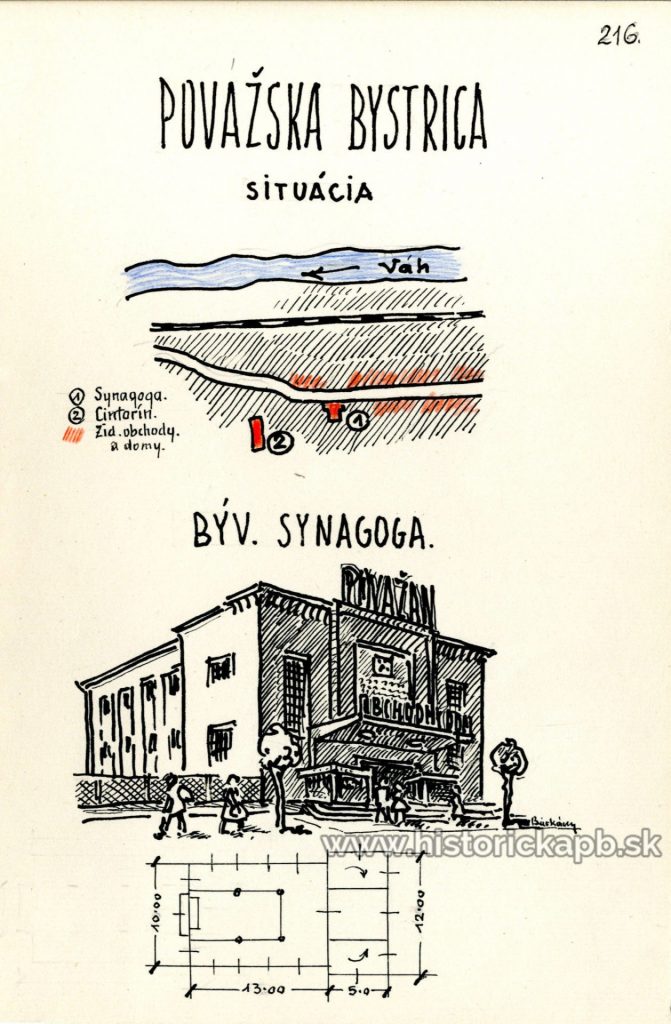 synagoga_podorys